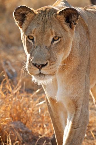 tumblr_mpt00eoiLS1rbwsb5o1_1280