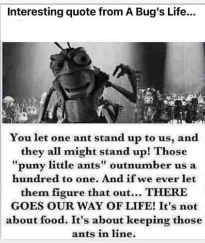 FB_IMG_1659809267650