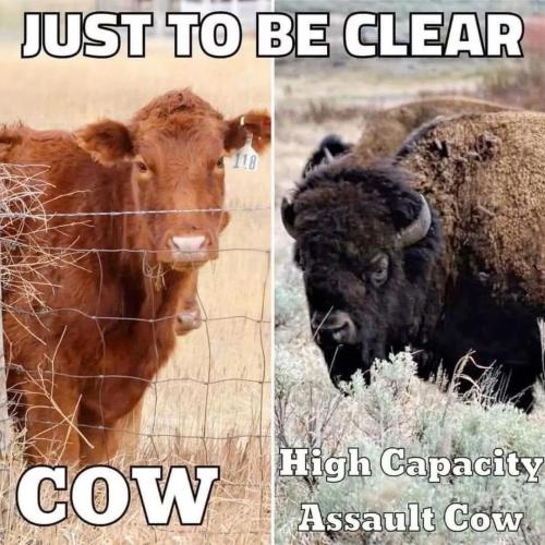 tumblr_5efca48e61707e905f7b81587694fde4_595d8923_1280