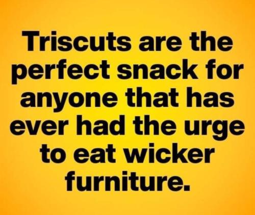 FB_IMG_1659917889214