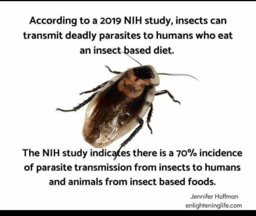 Screenshot_2022-08-19-07-07-08-964_com.facebook.mlite~2