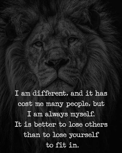 FB_IMG_1660554501606