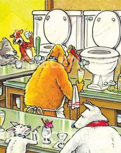 300145302_603518654703834_1547678386022508237_n