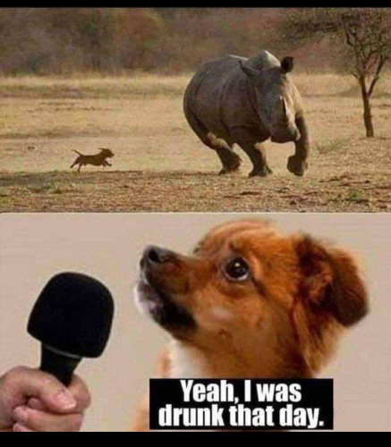 17:04:06 GMT-0400 (EDT)