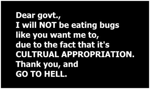 no to eating bugs