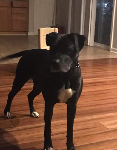 FB_IMG_1661587173657