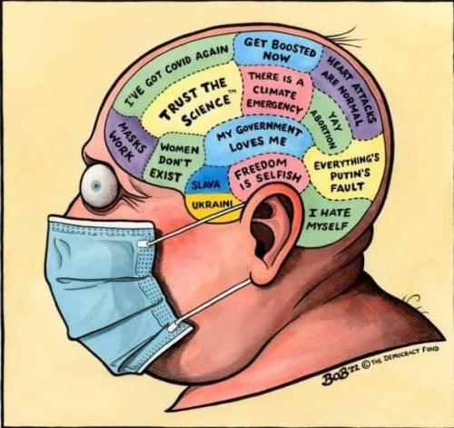 FB_IMG_1660638426782