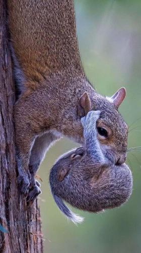 tumblr_061c5433be0710cb29545fa8c8851196_a4d6ac69_1280