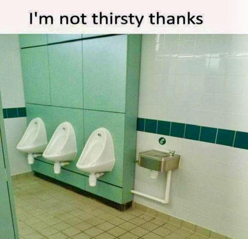 A4B849BA-29B6-46E2-BF01-7D9DC39CBA6E