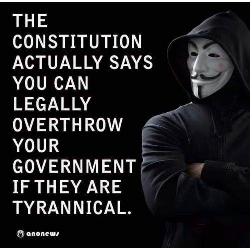 FB_IMG_1644793885465