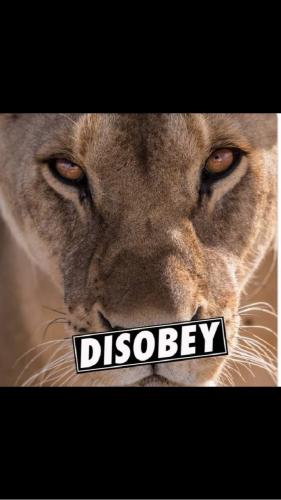 Screenshot_20210122-223416_Wimkin