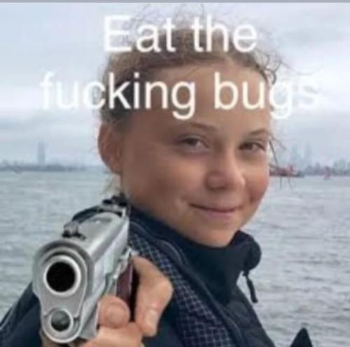 Are bugs vegan? 🐛🪳🦗🐜
