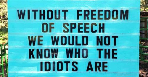 18180680837431066084