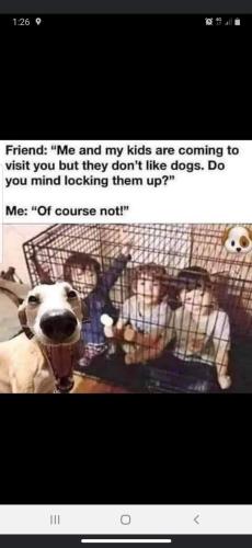 FB_IMG_1660771886789