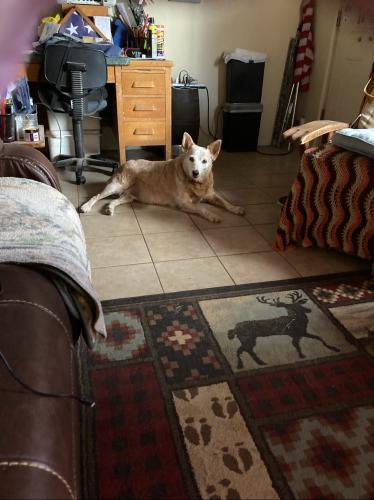 636EF20E-310D-4A6F-9A5C-30A6CBAB69AB