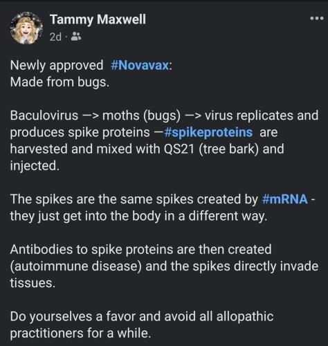 FB_IMG_1661390424291