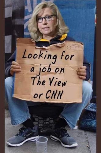 Liz looking for a job on the View or CNN