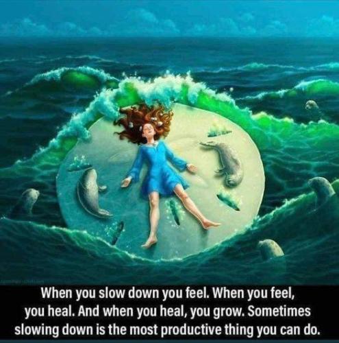 ,                                                                                                                                                                                                                       0   4j