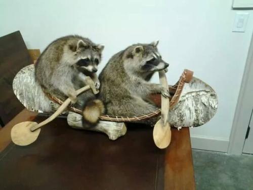 B2BrW6AlMu23r_pGJ_Kbcw