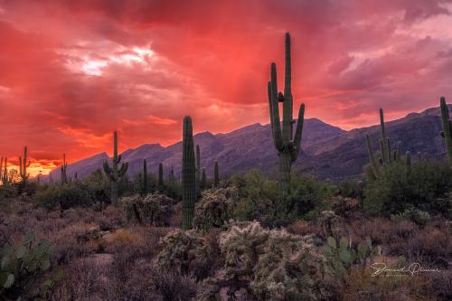 BEC1D167-6264-4346-A986-596B4EA1F97E