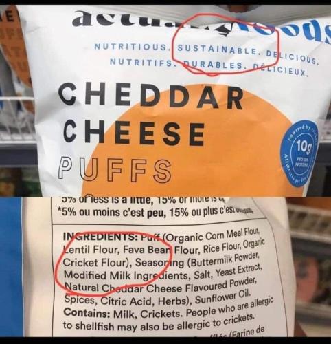 300172301_2237988119711567_8355644609871596562_n