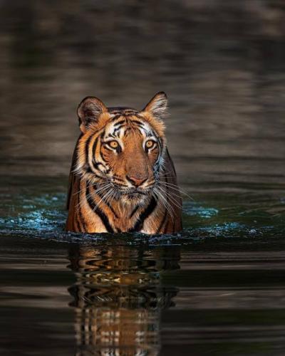 tumblr_c06bc77cd689e80828c6e0b10f676114_a0b2bd46_540