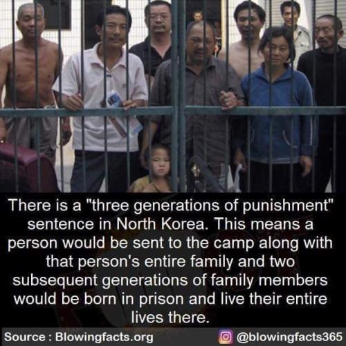 FB_IMG_1661525265519