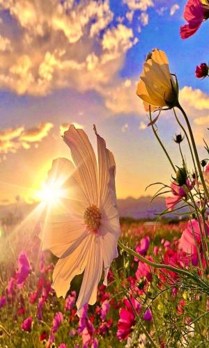 tumblr_e182a5fc34181fdb353579d2bd4950d1_6e9a28d6_640