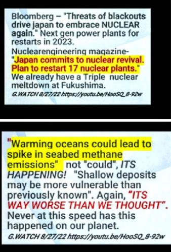 Screenshot_2022-08-30-14-17-51-247_com.google.android.apps.photos~2