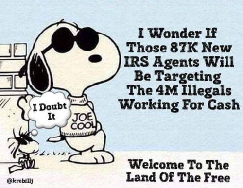 FB_IMG_1661349369271