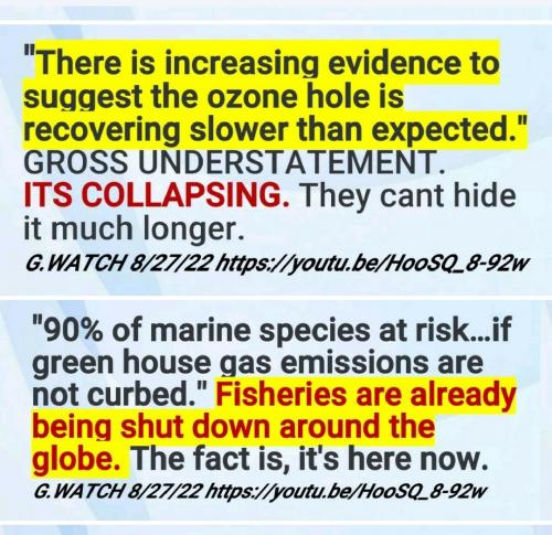 Screenshot_2022-08-30-13-58-06-719_com.google.android.apps.photos