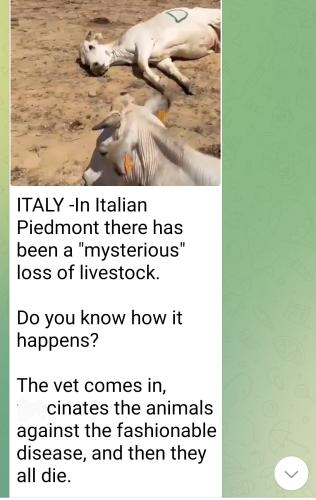 Screenshot_2022-08-13-15-53-57-556_org.telegram.messenger.web~2