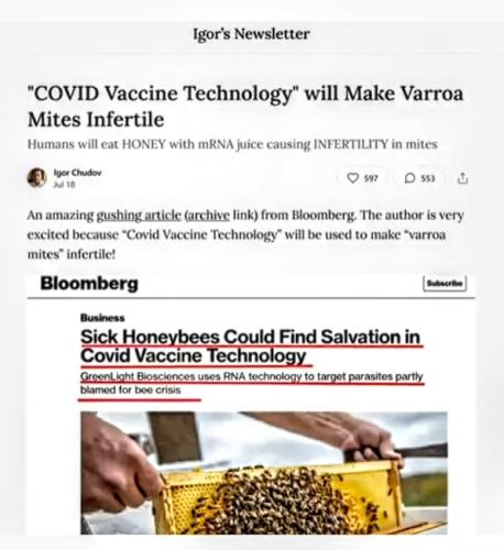 Screenshot_2022-07-31-11-23-25-254_com.camerasideas.trimmer~2