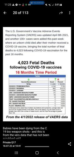 Screenshot_20220825-112548_Telegram