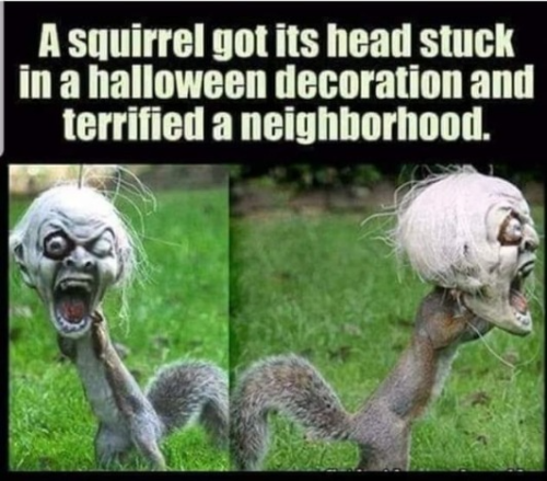 captures_chrome-capture-2022-7-18 (16)