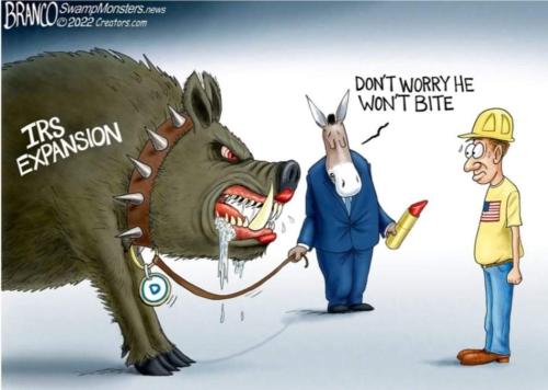 FB_IMG_1661138853089