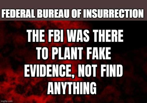Federal Bureau of Insurrection 1