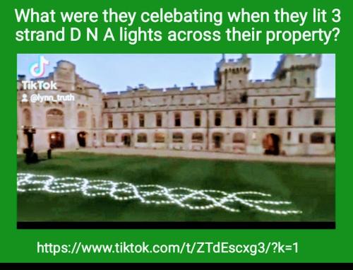 Screenshot_2022-08-04-20-01-05-902_com.google.android.apps.photos~2