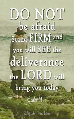 FB_IMG_1660928578236