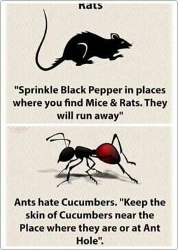 299961386_5277765618985305_2696072120402705572_n