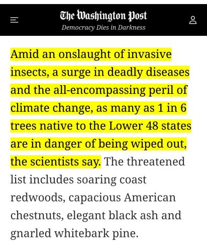 Screenshot_2022-08-29-13-33-54-512_com.android.chrome~2