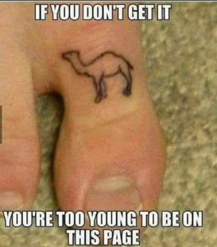 Screenshot_20220813-013120~2