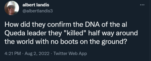 Terrorist 1