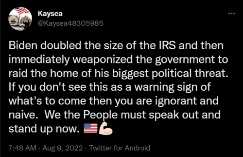 IRS 1
