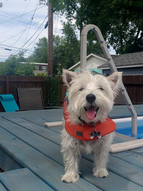 17:12:22 GMT-0500 (CDT)