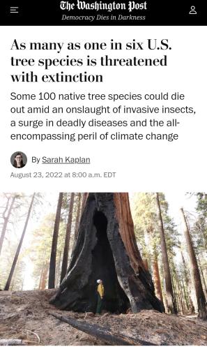 Screenshot_2022-08-29-13-33-28-845_com.android.chrome~2