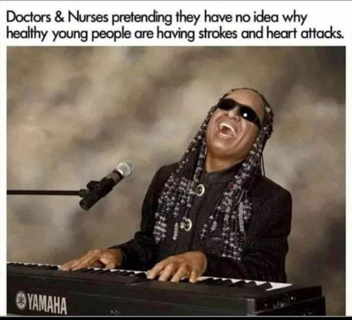 photo_2022-08-04_22-05-38