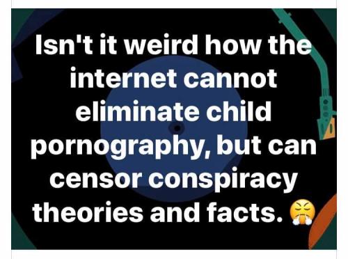 202194817_4099229893503805_6126456066909895366_n