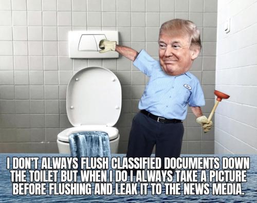 I Dont Always Flush Classified Documents Down the Toilet