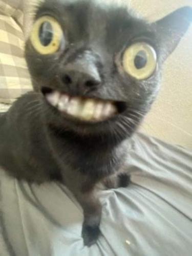 FB_IMG_1661179452039